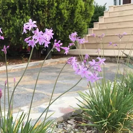 펜션 2 Bedroom Amazing Garden And Pool In Bodrum