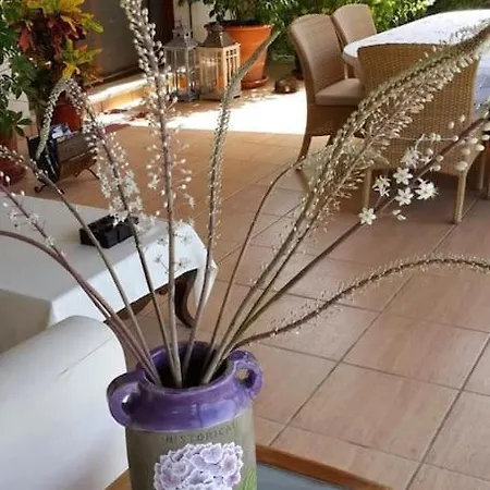 2 Bedroom Amazing Garden And Pool In 펜션 Bodrum